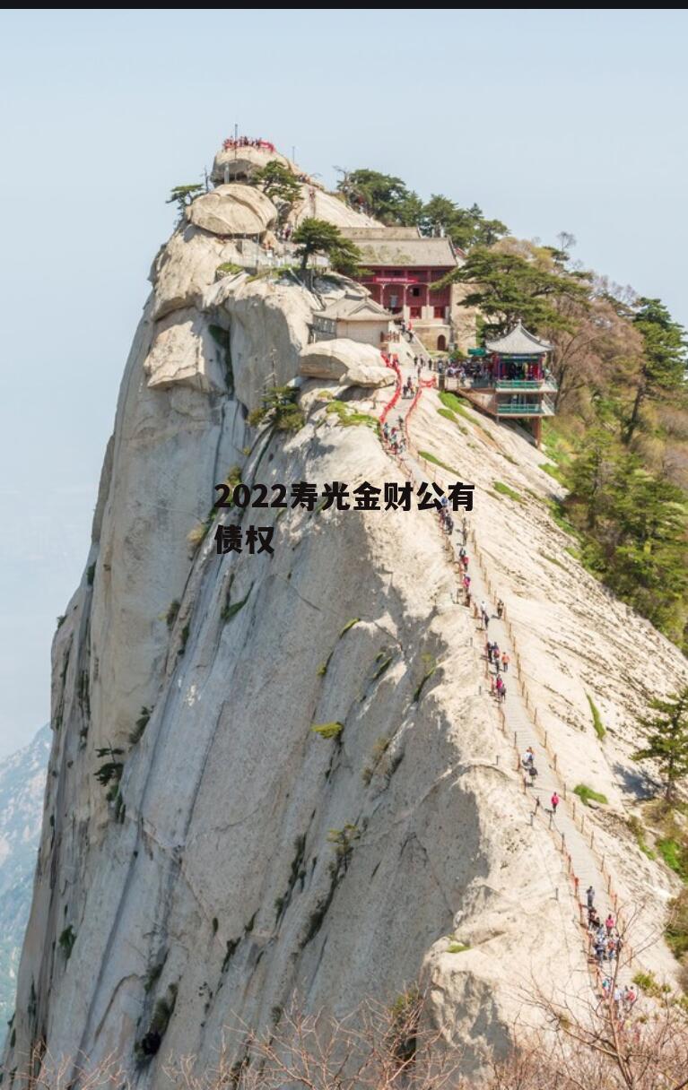 2022寿光金财公有债权