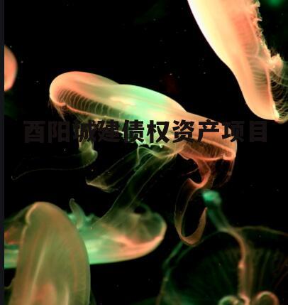 酉阳城建债权资产项目