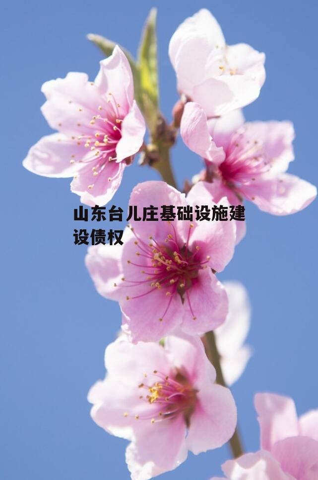 山东台儿庄基础设施建设债权