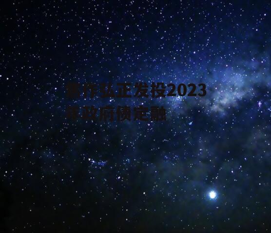 焦作弘正发投2023年政府债定融