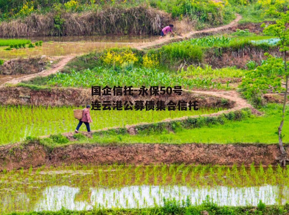 国企信托-永保50号连云港公募债集合信托