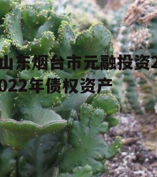 山东烟台市元融投资2022年债权资产