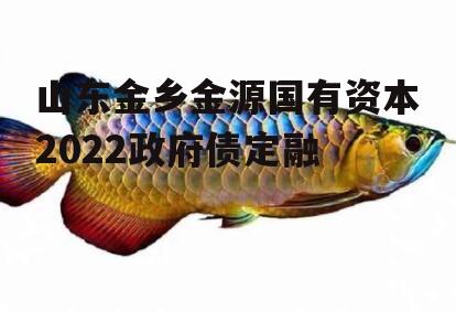 山东金乡金源国有资本2022政府债定融