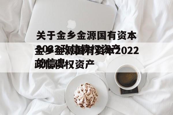 关于金乡金源国有资本2022政信债权资产的信息