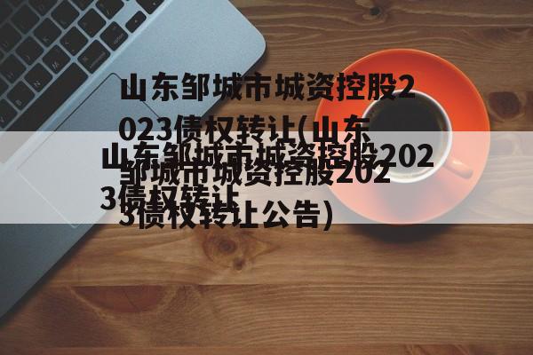 山东邹城市城资控股2023债权转让(山东邹城市城资控股2023债权转让公告)