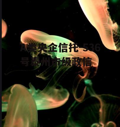 A类央企信托-536号泰州市级政信
