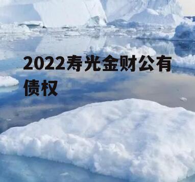 2022寿光金财公有债权