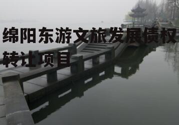 绵阳东游文旅发展债权转让项目