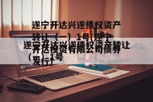 遂宁开达兴遂债权资产转让（一）1号(遂宁开达投资有限公司债券发行)