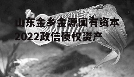 山东金乡金源国有资本2022政信债权资产