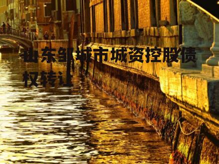 山东邹城市城资控股债权转让