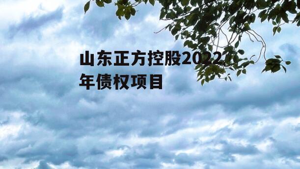 山东正方控股2022年债权项目