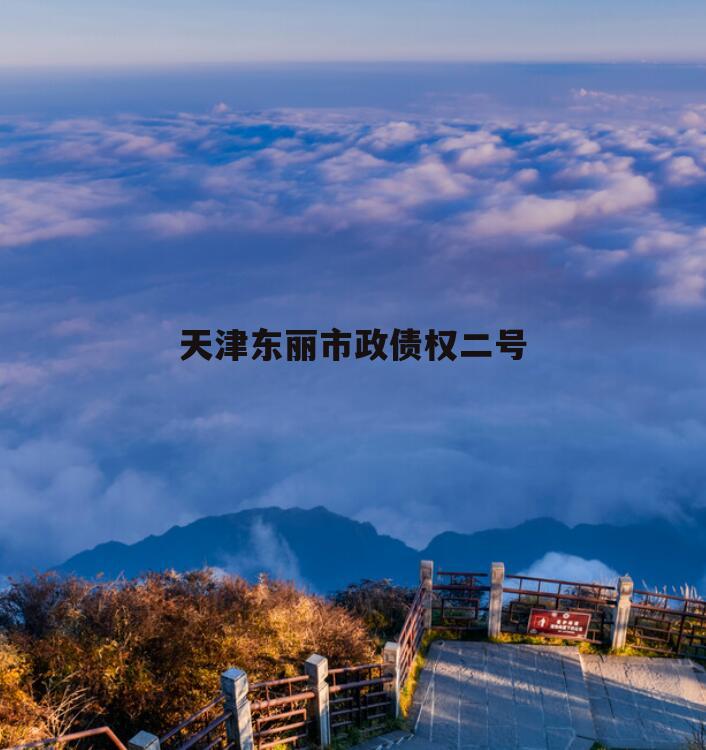 天津东丽市政债权二号