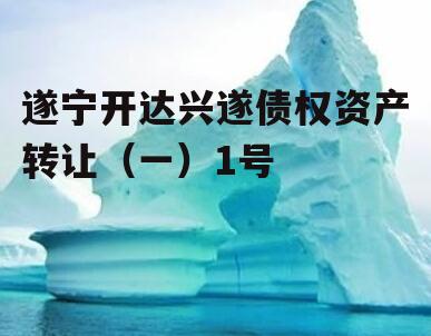 遂宁开达兴遂债权资产转让（一）1号
