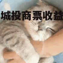昆明城投商票收益权项目