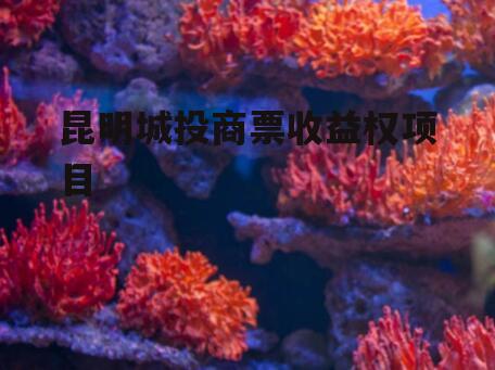 昆明城投商票收益权项目
