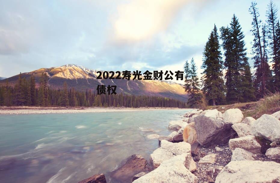 2022寿光金财公有债权