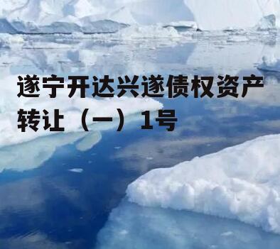 遂宁开达兴遂债权资产转让（一）1号
