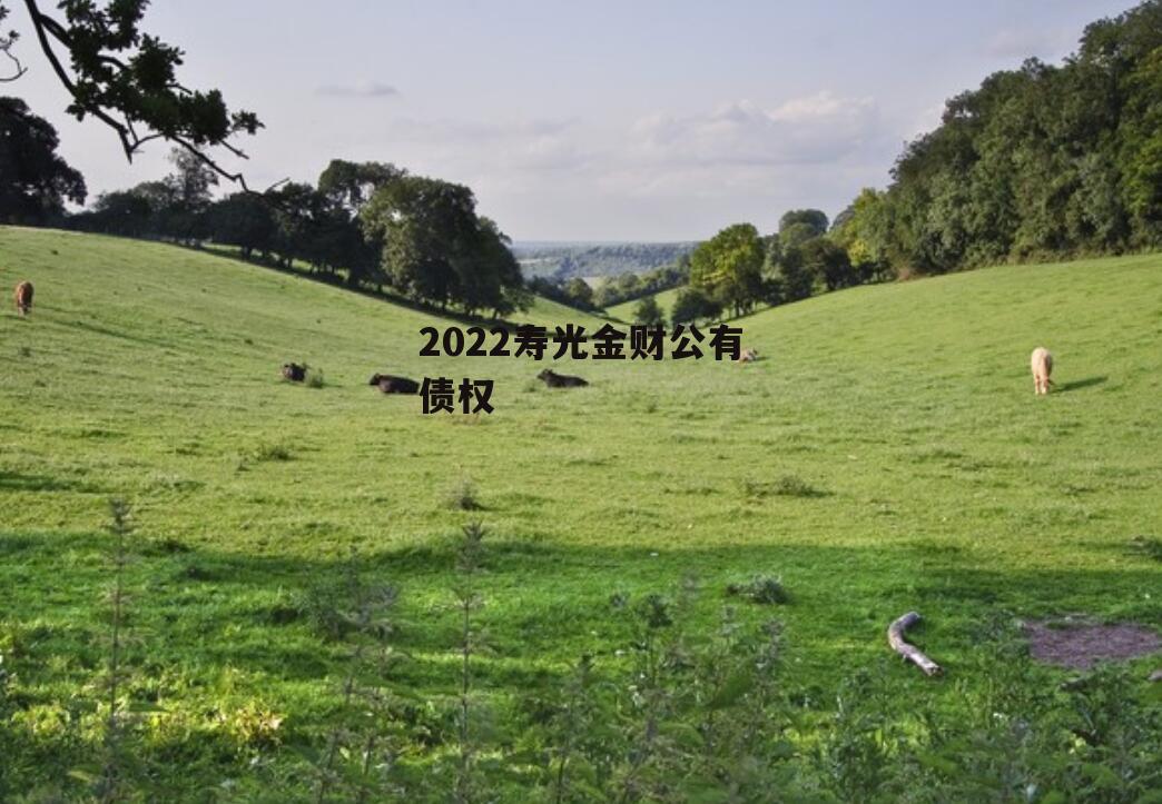 2022寿光金财公有债权