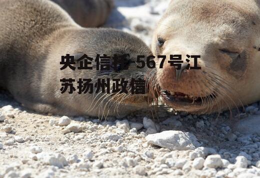 央企信托-567号江苏扬州政信