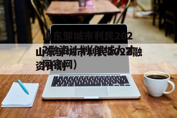 山东邹城市利民2022融资计划(邹城人才网官网)