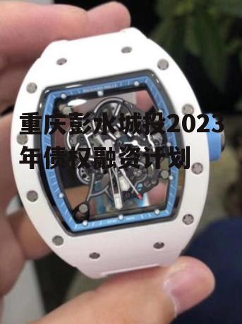 重庆彭水城投2023年债权融资计划