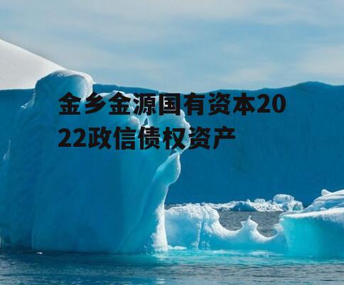 金乡金源国有资本2022政信债权资产