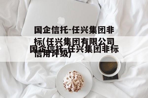 国企信托-任兴集团非标(任兴集团有限公司信用评级)
