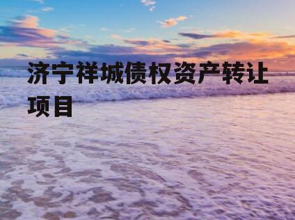 济宁祥城债权资产转让项目