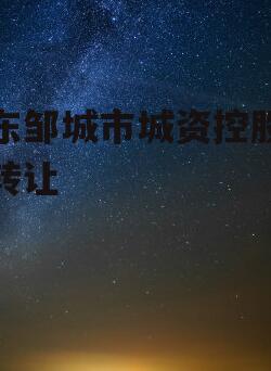 山东邹城市城资控股债权转让