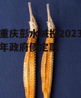 重庆彭水城投2023年政府债定融