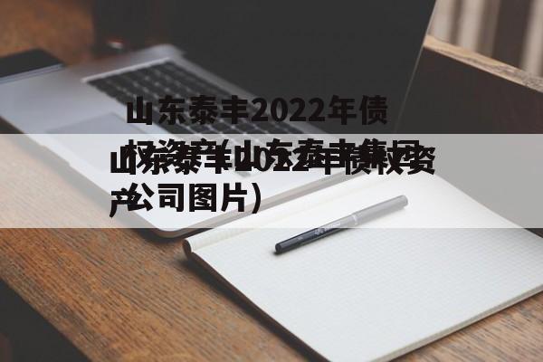 山东泰丰2022年债权资产(山东泰丰集团公司图片)