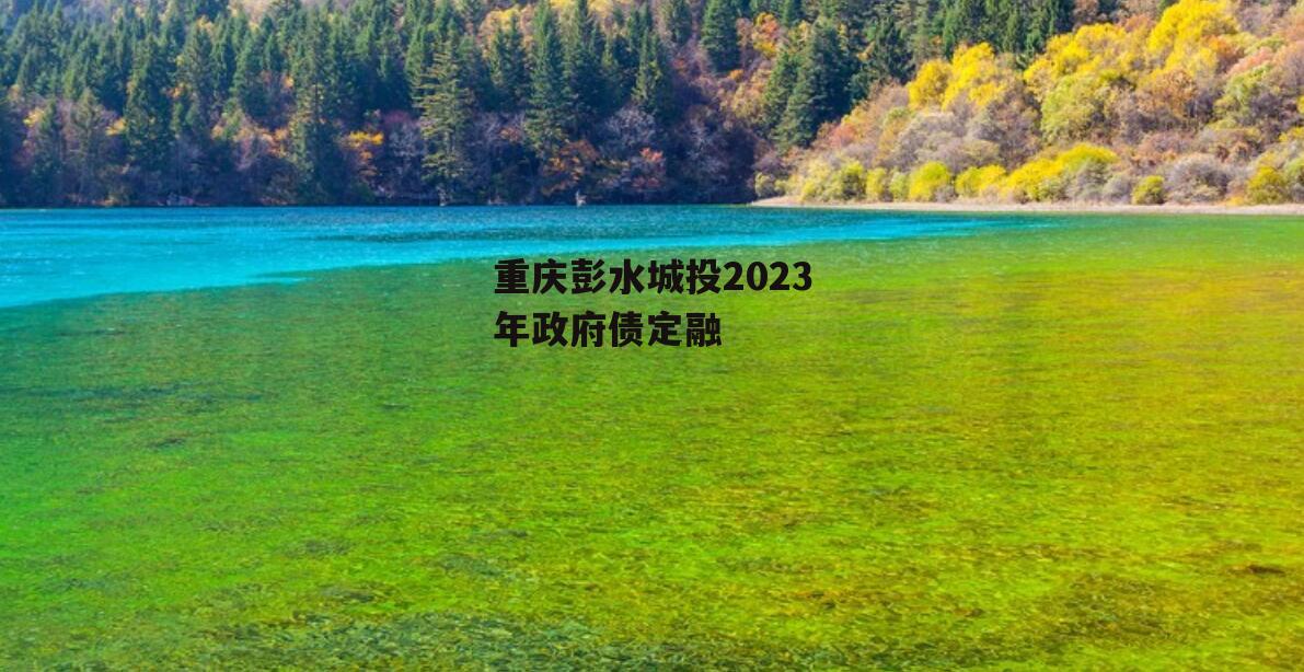 重庆彭水城投2023年政府债定融