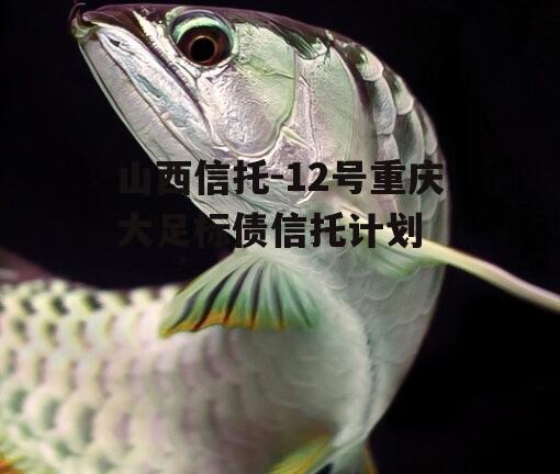 山西信托-12号重庆大足标债信托计划