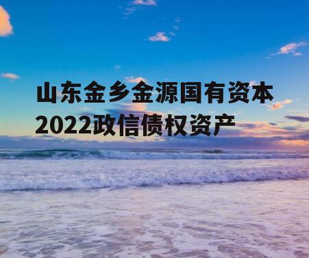 山东金乡金源国有资本2022政信债权资产