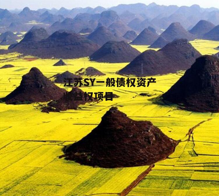 江苏SY一般债权资产收益权项目