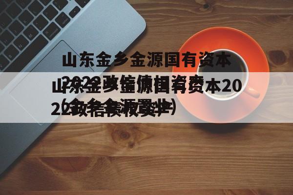 山东金乡金源国有资本2022政信债权资产(金乡金源置业)