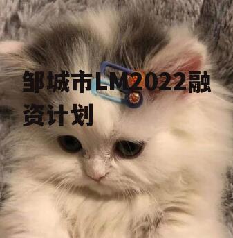邹城市LM2022融资计划