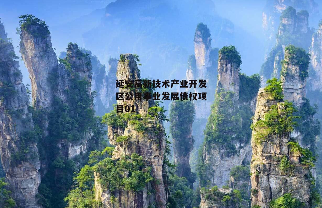 延安高新技术产业开发区公用事业发展债权项目01