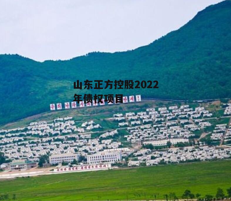 山东正方控股2022年债权项目
