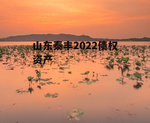 山东泰丰2022债权资产