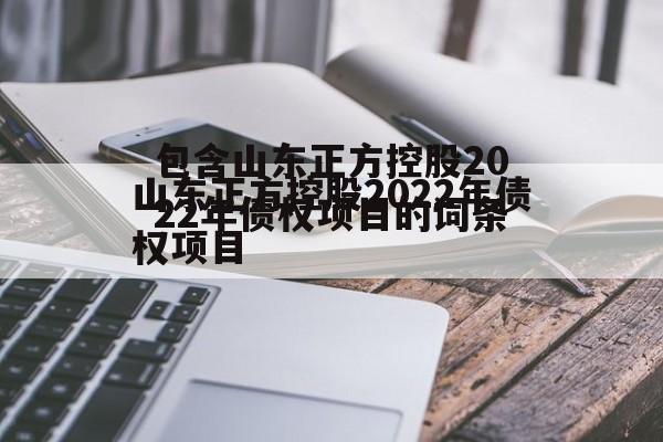 包含山东正方控股2022年债权项目的词条