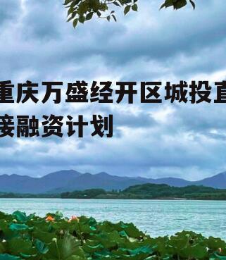 重庆万盛经开区城投直接融资计划