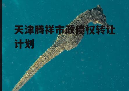 天津腾祥市政债权转让计划