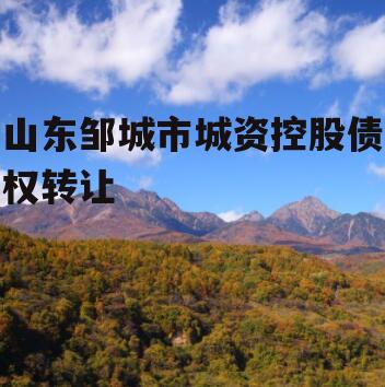 山东邹城市城资控股债权转让