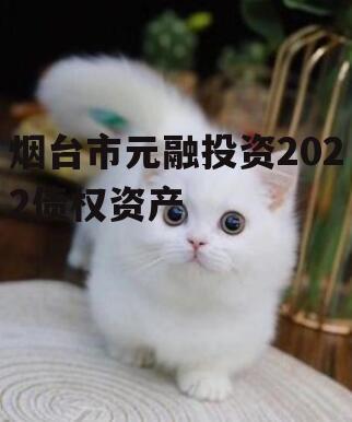 烟台市元融投资2022债权资产