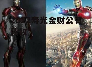 2022寿光金财公有债权