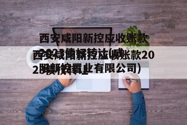西安咸阳新控应收账款2023债权转让(咸阳新控置业有限公司)
