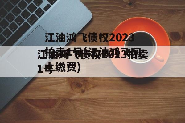 江油鸿飞债权2023拍卖1号(江油鸿飞网上缴费)