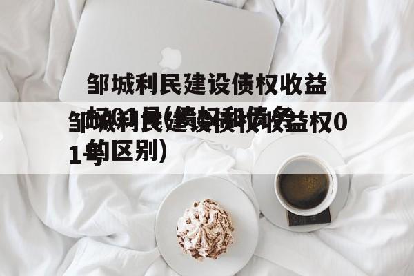 邹城利民建设债权收益权01号(债权和债务的区别)